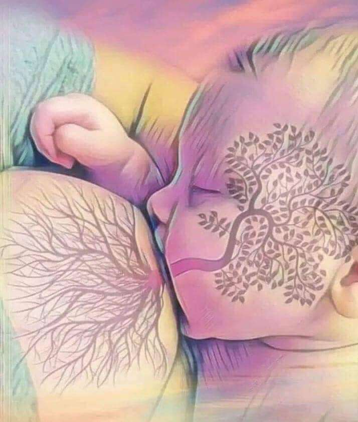 İlk nesne ilişkimiz: meme